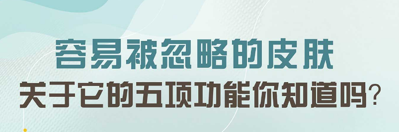 容易被忽略的皮肤—关于它的五项功能你知道吗？ 